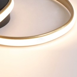 Flush Mount Brushed Gold Heart Shape Lighting Spotlight