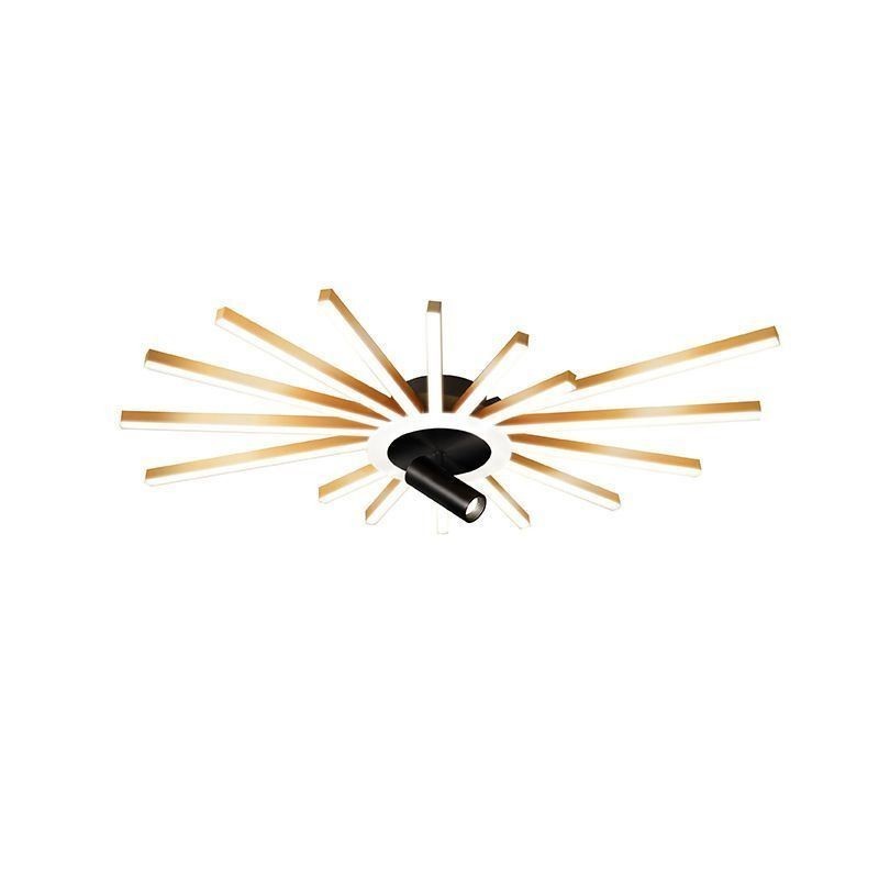 Flush Mount Acrylic Irregular Linear Lamp Spotlight