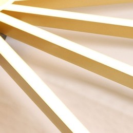 Flush Mount Acrylic Irregular Linear Lamp Spotlight