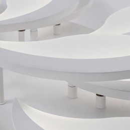 Acrylic Petal Flush Mount Ceiling Light