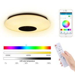 Flush Mount Colorful Ceiling Lamp with Bluetooth Music Speaker Timing Function
