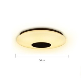 Flush Mount Colorful Ceiling Lamp with Bluetooth Music Speaker Timing Function