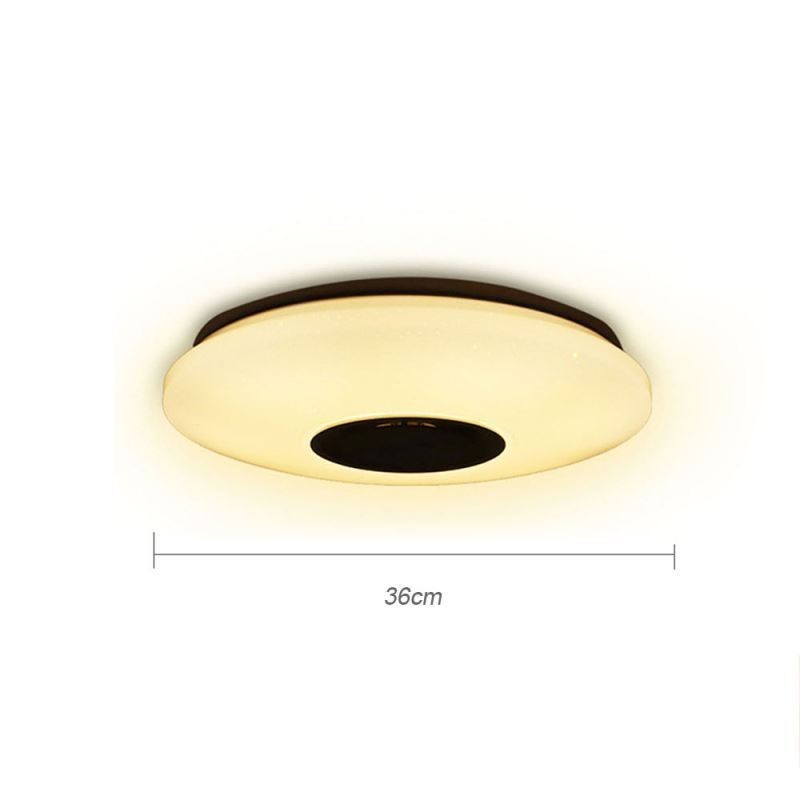 Flush Mount Colorful Ceiling Lamp with Bluetooth Music Speaker Timing Function