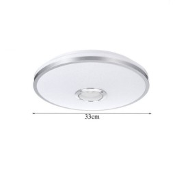 Flush Mount Colorful Ceiling Light with Bluetooth Music Speaker Timing Function