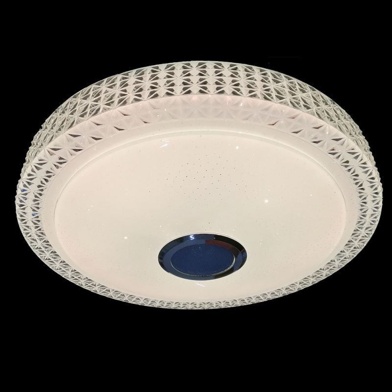 Ceiling Light Decorative Lamp Remote APP Control Bluetooth Music Speaker Flush Mount