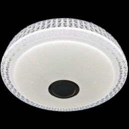 Ceiling Light Decorative Lamp Remote APP Control Bluetooth Music Speaker Flush Mount