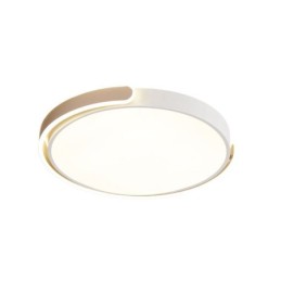 Round Acrylic Flush Mount Ceiling Light Fixture