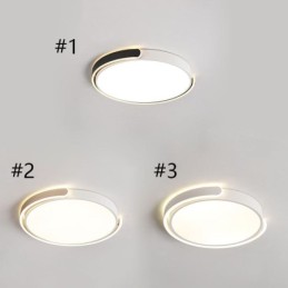 Round Acrylic Flush Mount Ceiling Light Fixture