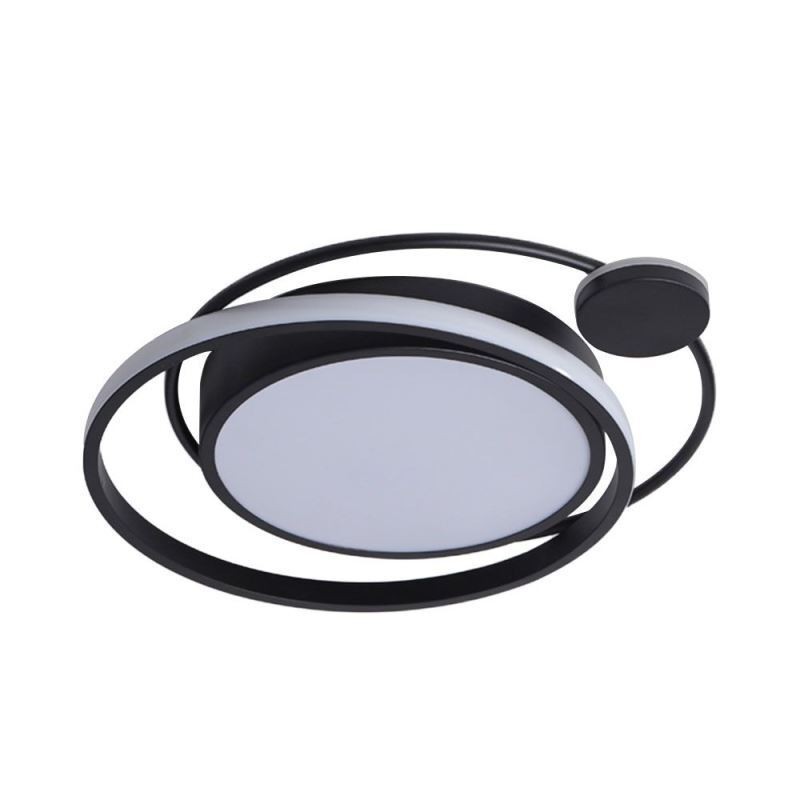 Contemporary Circular Flush Mount Ceiling Light