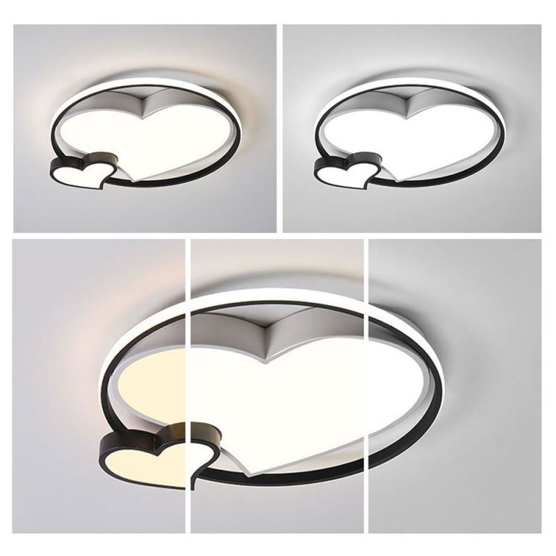 Double Hearts Flush Mount Ceiling Lamp Decorative Lighting