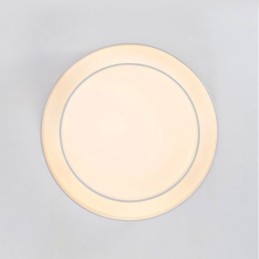 Contemporary Flush Mount Circular Ceiling Light