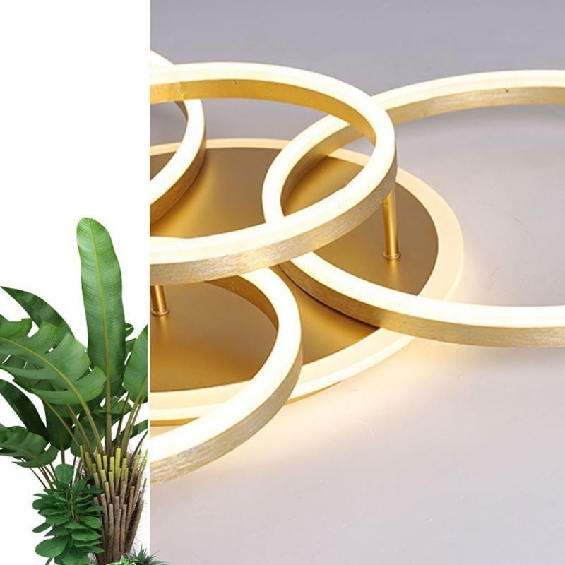 Halo Ring Flush Mount Modern Acrylic Ceiling Light
