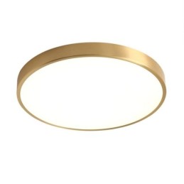 Round Flush Mount Modern Golden Acrylic Ceiling Light