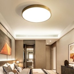 Round Flush Mount Modern Golden Acrylic Ceiling Light