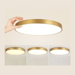 Round Flush Mount Modern Golden Acrylic Ceiling Light