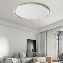 Flush Mount Minimalist Circular Ceiling Light