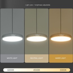 Pendant Light Three Head Light Round Hanging Light