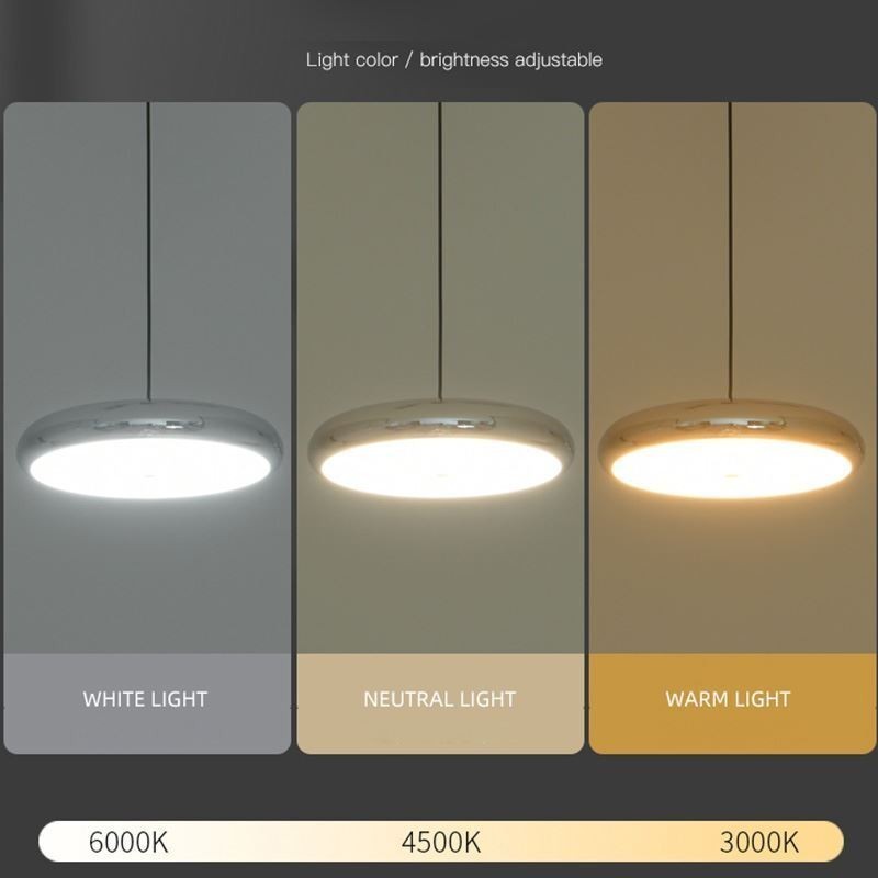 Pendant Light Three Head Light Round Hanging Light