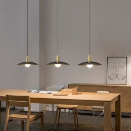Modern Simple Pendant Light Hanging Lamps
