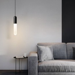 Modern Frosted Pendant Light Brushed Pendant Lamp