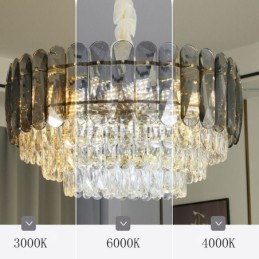 Crystal Pendant Ceiling Light Fixture