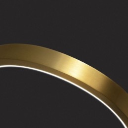 Pendant Light Brass Rings Decorative Light Fixture