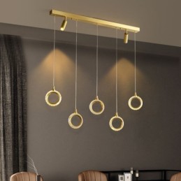 Pendant Light Acrylic Ring Light Fixture with Spotlight