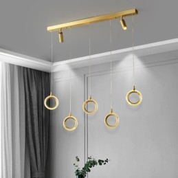 Pendant Light Acrylic Ring Light Fixture with Spotlight