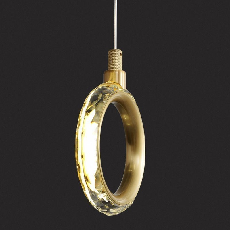 Pendant Light Acrylic Ring Light Fixture with Spotlight