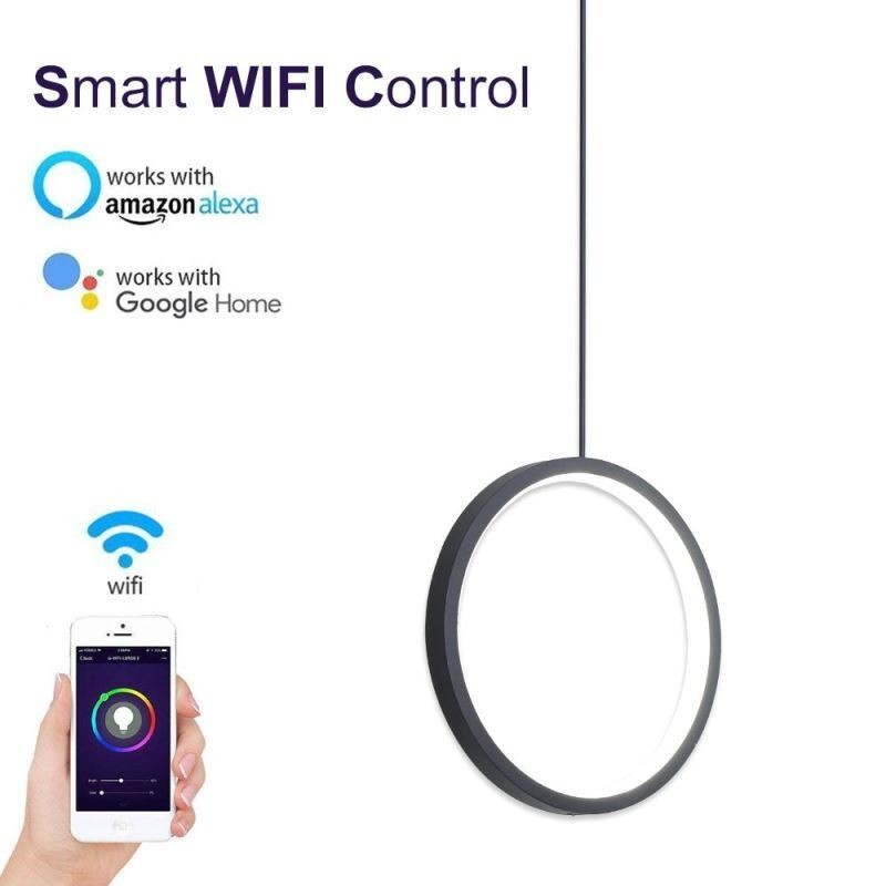 Minimalist Ring Pendant Light Decorative Ceiling Light