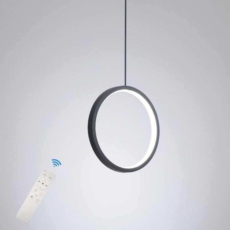 Minimalist Ring Pendant Light Decorative Ceiling Light