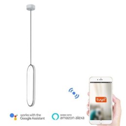 Oval Pendant Light Acrylic Decorative Light Fixture