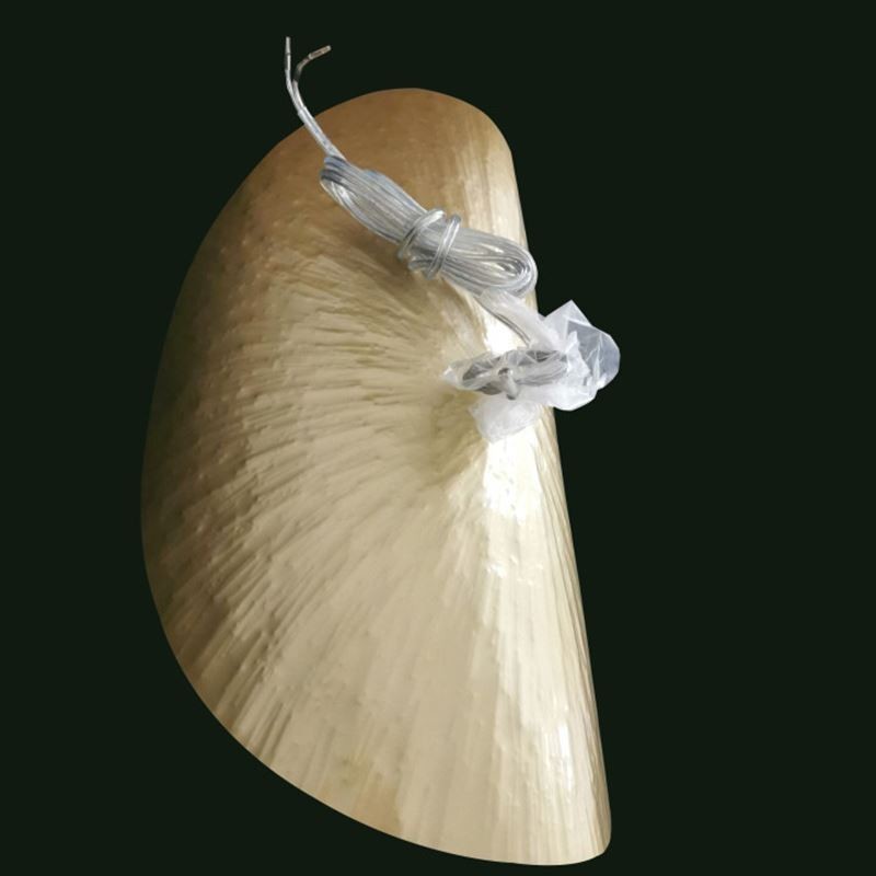 Brass Pendant Light Modern Minimalist Lotus Leaf Ceiling Light