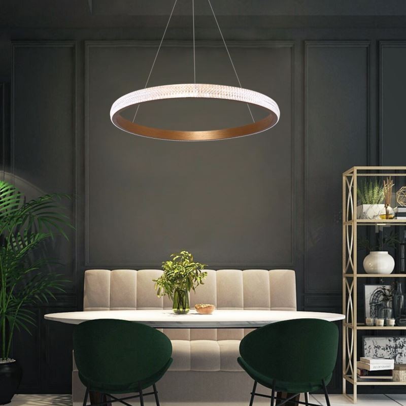 Ring Pendant Lamp Minimalist Acrylic Light Fixture