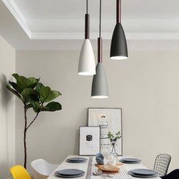 Modern Pendant Light Simple Special Design Lamp Light