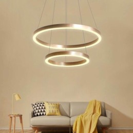 Pendant Light Drawing Craft 2 Rings Lamp 60+40cm