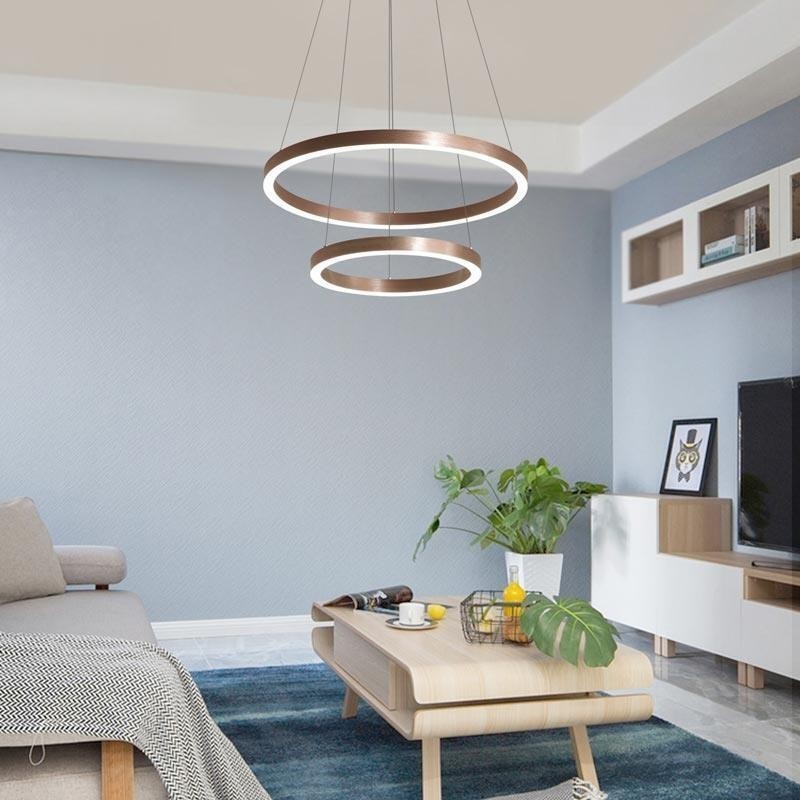 Pendant Light Drawing Craft 2 Rings Lamp 60+40cm