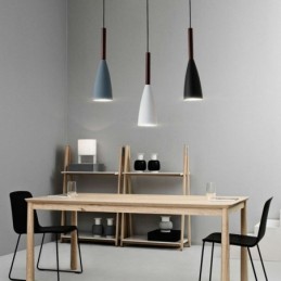 Modern Pendant Light Simple Special Design Lamp Light