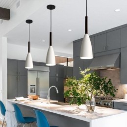 Modern Pendant Light Simple Special Design Lamp Light