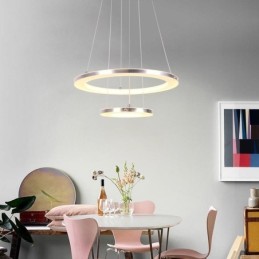 Modern Pendant Light Acrylic 2 Rings Lamp 40+20cm