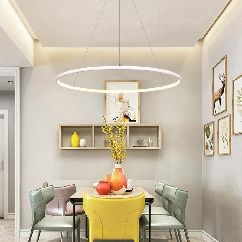 Modern Pendant Light Circle Lamp 60cm 80cm