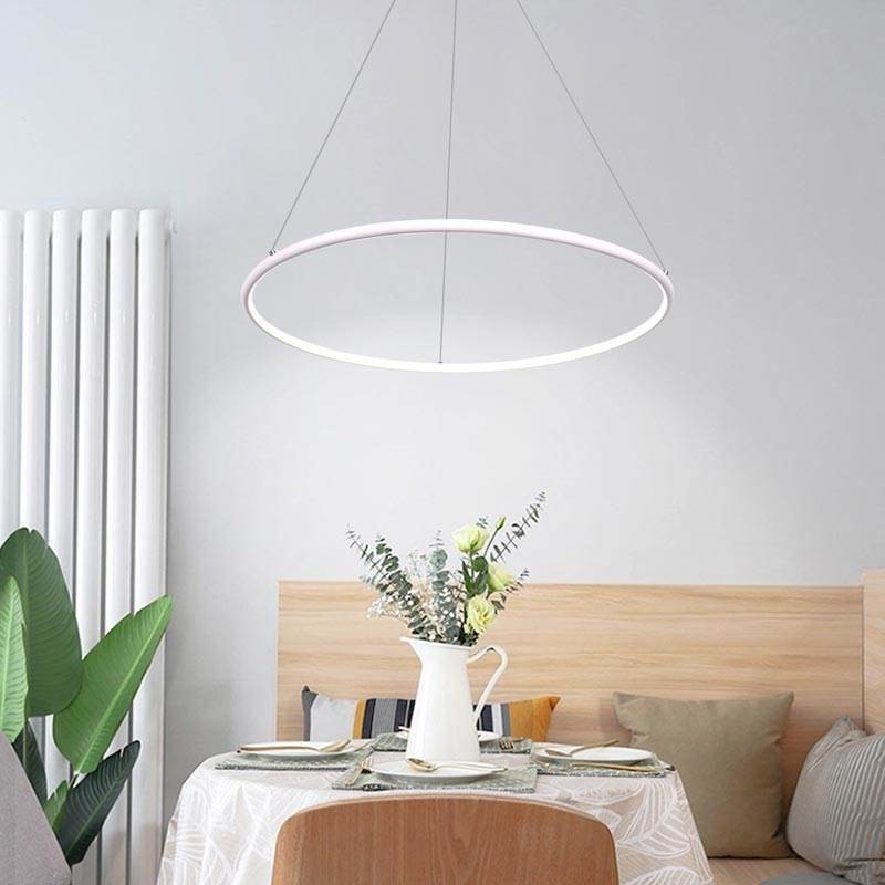 Modern Pendant Light Circle Lamp 60cm 80cm