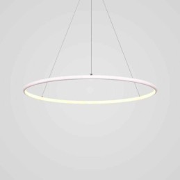 Modern Pendant Light Circle Lamp 60cm 80cm