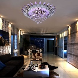 Modern Contemporary Others Flush Mount