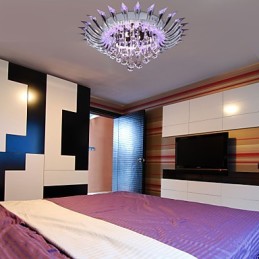 Modern Contemporary Others Flush Mount