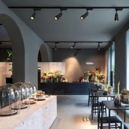 Track Spotlight 8° To 60° Free Focusing Accent Lighting