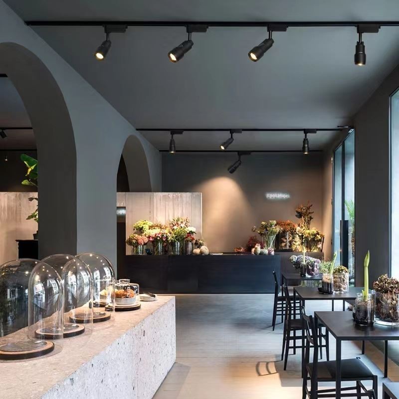 Track Spotlight 8° To 60° Free Focusing Accent Lighting