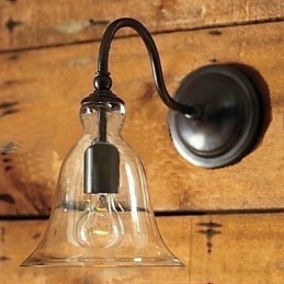 Nature Inspired Iron Wall Light with Transparent Glass Shade