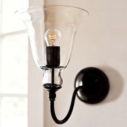 Nature Inspired Iron Wall Light with Transparent Glass Shade