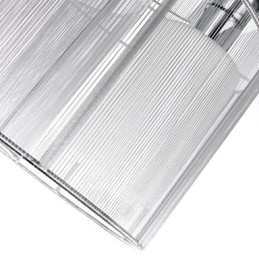 Ceiling Light Modern Design 2 Lights